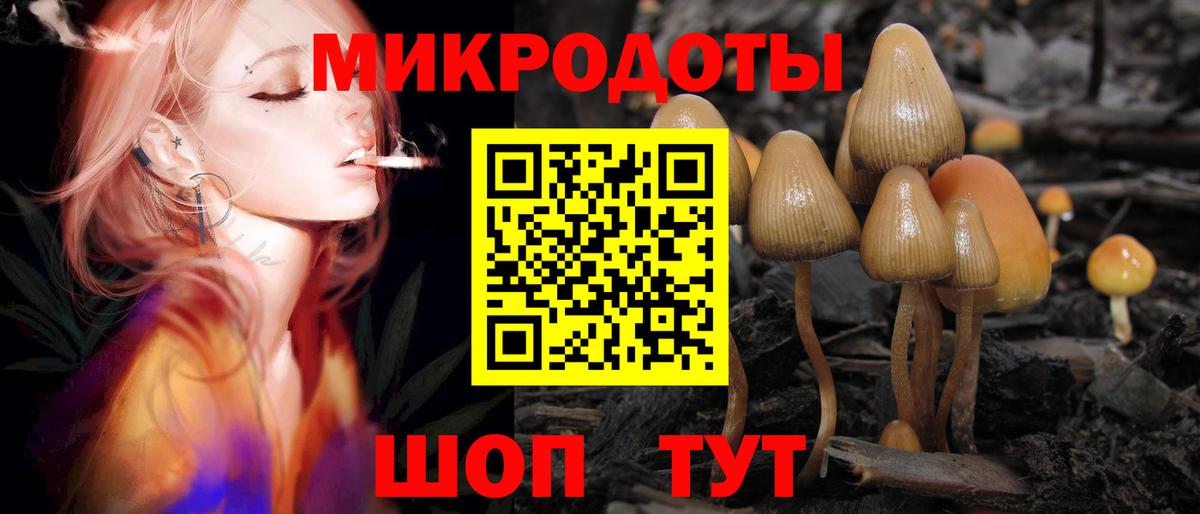 хочу   Вход с VPN  Минусинск  Галлюциногенные грибы Cubensis 